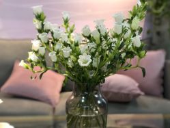 -JC·YOGA静禅瑜伽普拉提