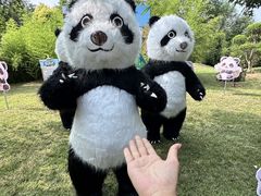 -五龙山野生动物王国