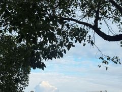 -比斯特上海购物村精品奥特莱斯