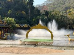 -西双版纳原始森林公园