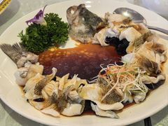 清蒸鲜鲈鱼-博雅渔港·融合菜(维也纳国际大酒店)