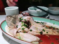-大榕树下顺德菜(融创茂店)