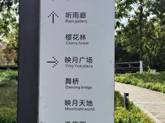 -映月湖中央公园