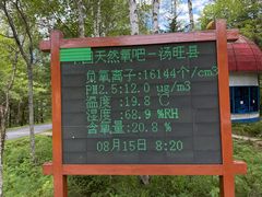 -汤旺河林海奇石景区