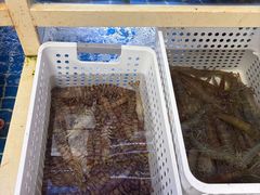 -牛天下·牛肉·海鲜·打边炉·融合菜