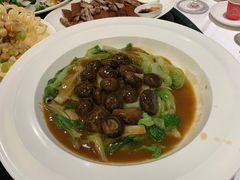 北菇扒菜胆-炳胜品味(海印总店)
