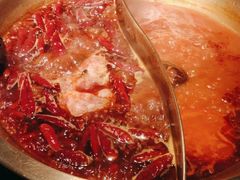 -小龙坎火锅(春熙太古里店)