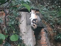-铁路文化公园