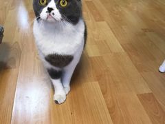 -猫音日语留学培训