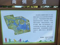 -大兴滨河森林公园