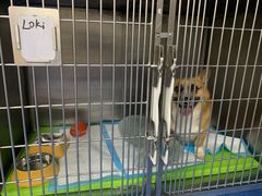 -爱诺耐芙动物医院(万博店)