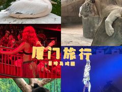 -灵玲国际马戏城