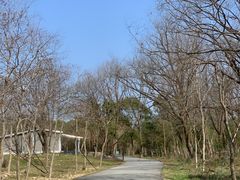-香满阁小炒(古堰画乡景区店)