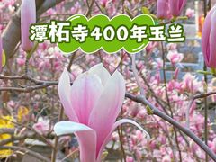 -潭柘寺景区