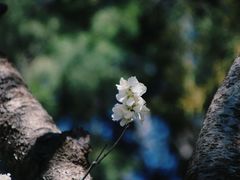 -陶然亭公园