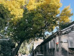 -VOYAGE COFFEE(北锣鼓巷店)