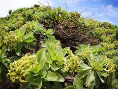 -龙坑生态保护区