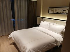 -曙光薇酒店(南京夫子庙老门东店)