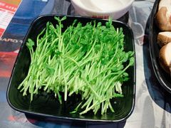 -捞围鲜·港式打边炉(海阳路店)