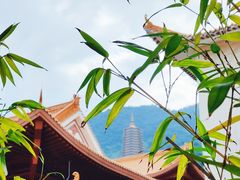 -深圳仙湖植物园