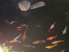 -长阳创谷