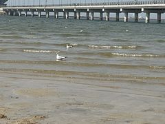 -山海广场