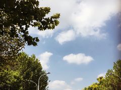 偶尔压马路会去的北门小道-东南大学(九龙湖校区)