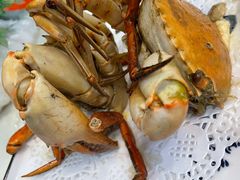 -鑫悦楼煎蟹·16年海鲜大排档