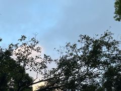-广州市白云山风景名胜区