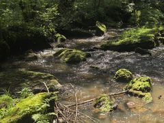 -汤旺河林海奇石景区