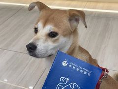 -申普宠物医院·眼科·心内科·影像科(普陀分院)