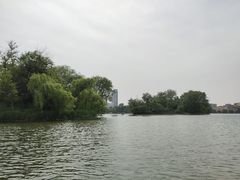 -莱西月湖公园