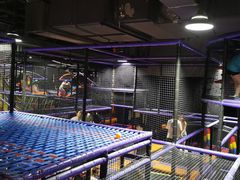 -Tenker Club弹刻极限主题公园 · 蹦床 · 团建 · 生日派对(大关店)