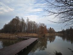-宁波杭州湾国家湿地公园