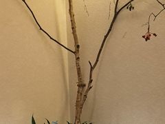 -可口香·非遗老号烧烤(南岗直营店)
