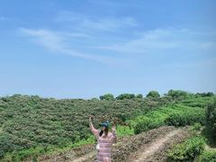 -平湖九龙山旅游度假区