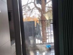 -安徽大学(龙河校区)