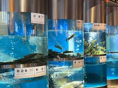 -老船舫·现做活鲜鱼馆(东郊记忆店)
