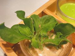 -叶叶菩提·晋福宫