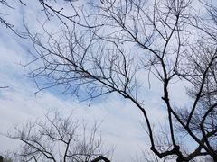 -西湖游船