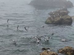 -长岛南北长山旅游景区