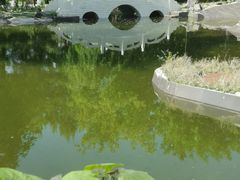 -沈阳植物园