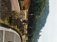 -立新湖公园