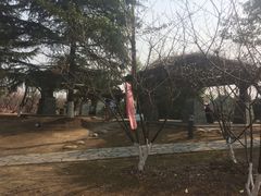 -白塘生态植物园