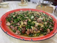 -东吴霸王兔(松青路店)