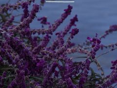 -昆山城市生态森林公园