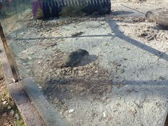 -哈尔滨北方森林动物园