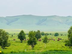 -塞罕坝国家级自然保护区