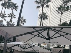-tea'stone (万象天地店)