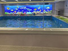 -水贝乐国际水育儿童游泳中心(新业广场店)